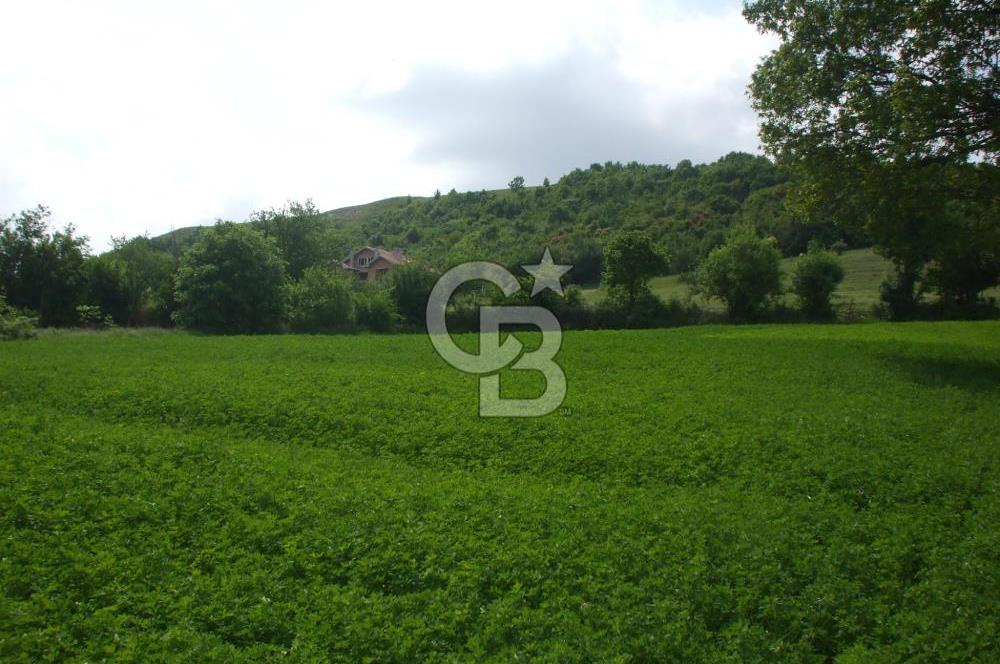 KIRKLARELİ -PINARHİSAR 3.692.M2 ACİL SATILIK DEĞERLİ ARAZİ