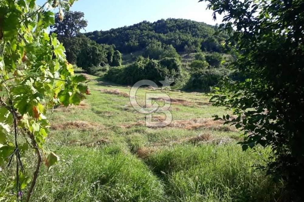 KIRKLARELİ -PINARHİSAR 3.692.M2 ACİL SATILIK DEĞERLİ ARAZİ