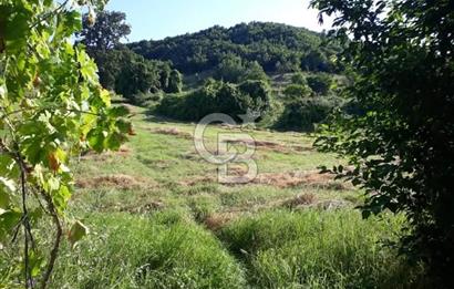 KIRKLARELİ -PINARHİSAR 3.692.M2 ACİL SATILIK DEĞERLİ ARAZİ