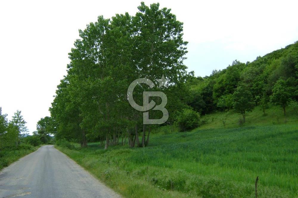 KIRKLARELİ -PINARHİSAR 3.692.M2 ACİL SATILIK DEĞERLİ ARAZİ