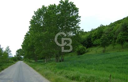 KIRKLARELİ -PINARHİSAR 3.692.M2 ACİL SATILIK DEĞERLİ ARAZİ