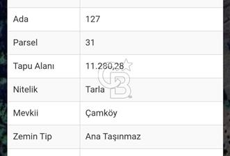 ANTALYA SERİK HACIOSMANLAR' DA 11.28 m2 TEK TAPU SATILIK TARLA