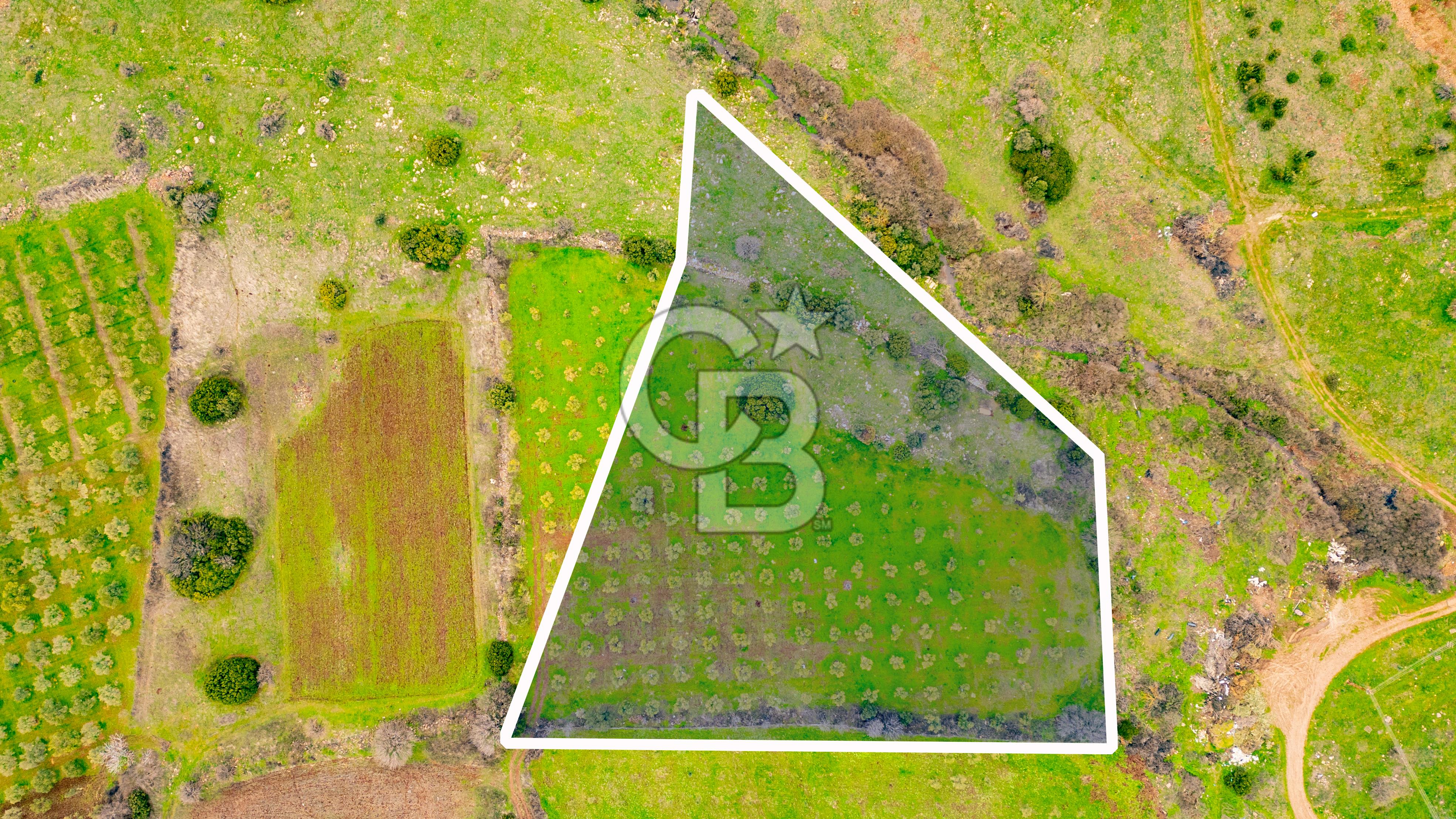 İzmir Foça Yenibağarasında Satılık Tarla