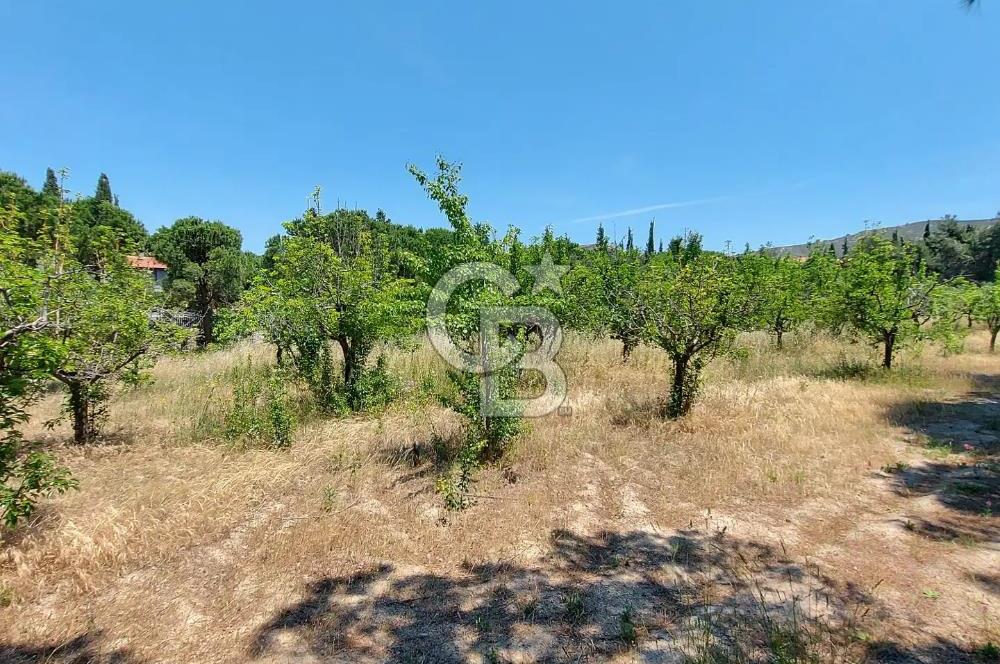 Sapanca Mahmudiye 857m2 Satılık Villa Arsası 