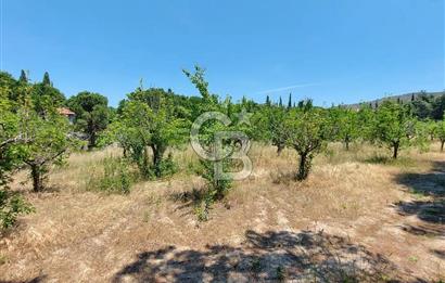 Sapanca Mahmudiye 857m2 Satılık Villa Arsası 