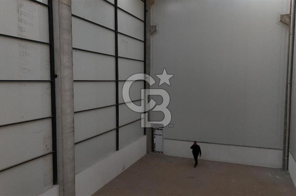 YALOVA ALTINOVA TERSANELER BÖLGESİNDE SATILIK HANGAR İŞYERLERİ!