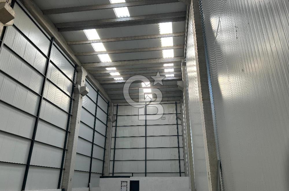 YALOVA ALTINOVA TERSANELER BÖLGESİNDE SATILIK HANGAR İŞYERLERİ!