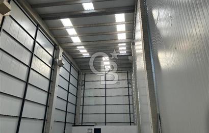 YALOVA ALTINOVA TERSANELER BÖLGESİNDE SATILIK HANGAR İŞYERLERİ!