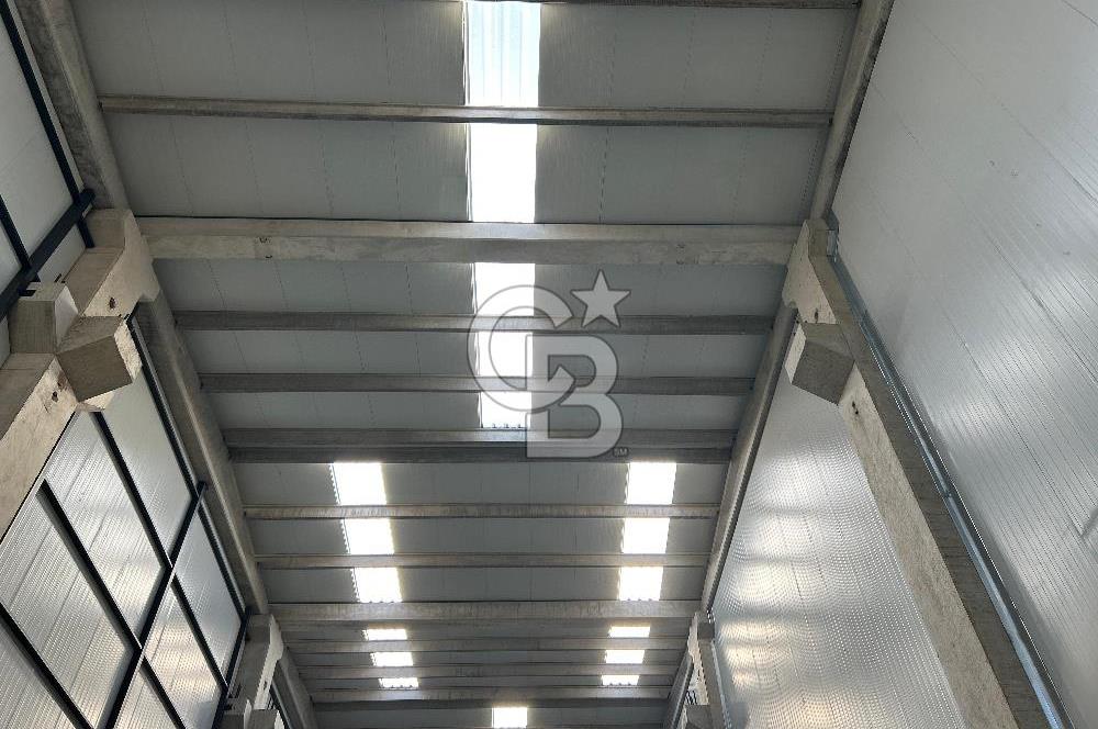 YALOVA ALTINOVA TERSANELER BÖLGESİNDE SATILIK HANGAR İŞYERLERİ!