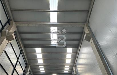YALOVA ALTINOVA TERSANELER BÖLGESİNDE SATILIK HANGAR İŞYERLERİ!