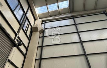 YALOVA ALTINOVA TERSANELER BÖLGESİNDE SATILIK HANGAR İŞYERLERİ!