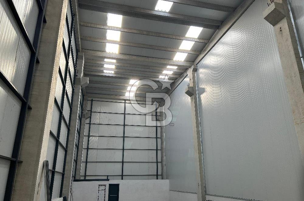 YALOVA ALTINOVA TERSANELER BÖLGESİNDE SATILIK HANGAR İŞYERLERİ!