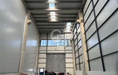 YALOVA ALTINOVA TERSANELER BÖLGESİNDE SATILIK HANGAR İŞYERLERİ!