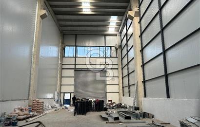 YALOVA ALTINOVA TERSANELER BÖLGESİNDE SATILIK HANGAR İŞYERLERİ!