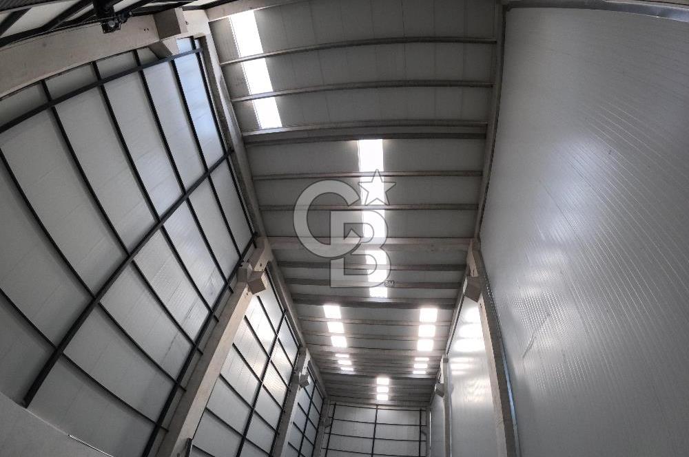 YALOVA ALTINOVA TERSANELER BÖLGESİNDE SATILIK HANGAR İŞYERLERİ!
