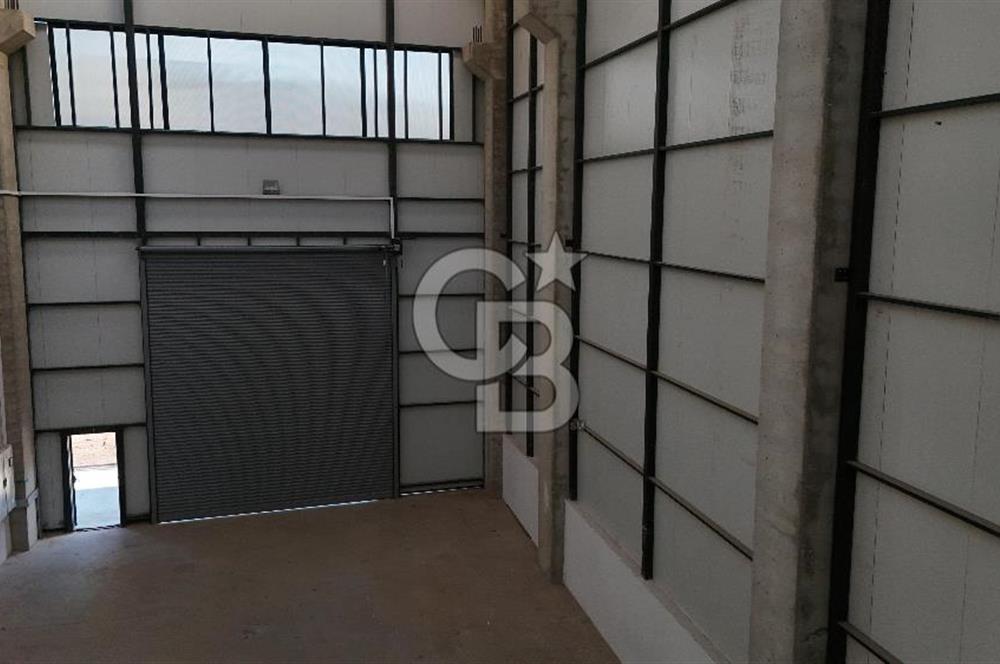 YALOVA ALTINOVA TERSANELER BÖLGESİNDE SATILIK HANGAR İŞYERLERİ!