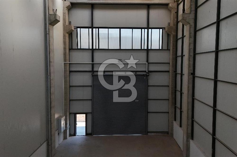 YALOVA ALTINOVA TERSANELER BÖLGESİNDE SATILIK HANGAR İŞYERLERİ!