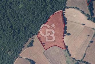 ÇANAKKALE YENİCE SOFULAR KÖYÜ'NDE SATILIK 13.546 M2 TARLA