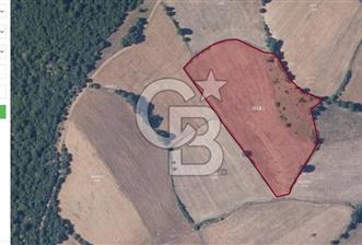 ÇANAKKALE YENİCE'DE 14.450 M2 SATILIK TARLA