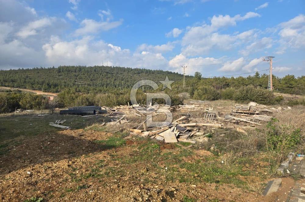 CB CITY'DEN BİLECİK ERTUĞRUL GAZİ MAHALLESİNDE KAT KARŞILIĞI VİLLA İMARLI ARSA