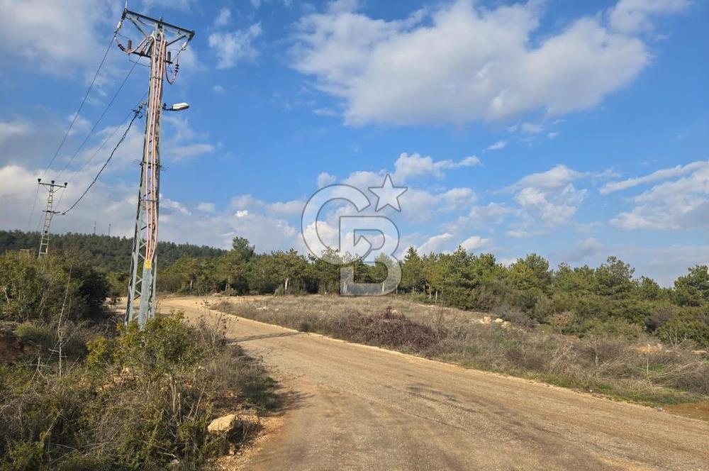 CB CITY'DEN BİLECİK ERTUĞRUL GAZİ MAHALLESİNDE KAT KARŞILIĞI VİLLA İMARLI ARSA