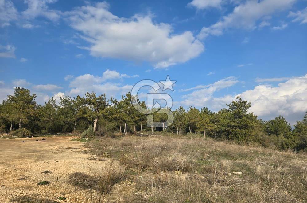 CB CITY'DEN BİLECİK ERTUĞRUL GAZİ MAHALLESİNDE KAT KARŞILIĞI VİLLA İMARLI ARSA