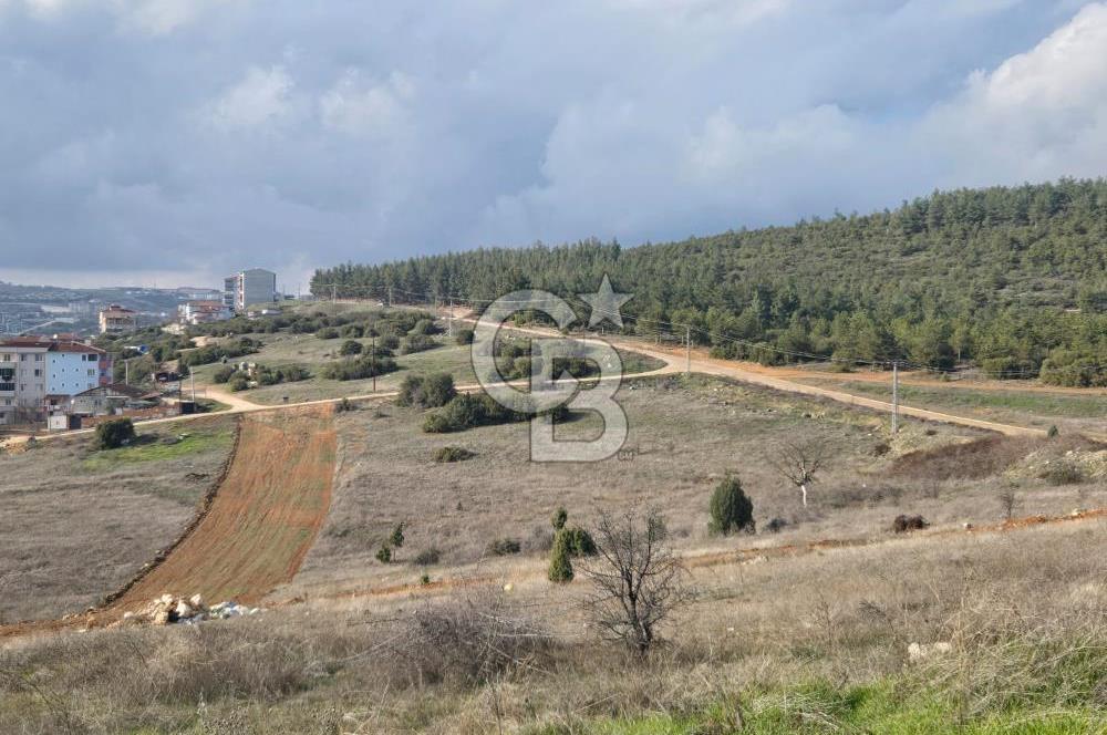 CB CITY'DEN BİLECİK ERTUĞRUL GAZİ MAHALLESİNDE KAT KARŞILIĞI VİLLA İMARLI ARSA