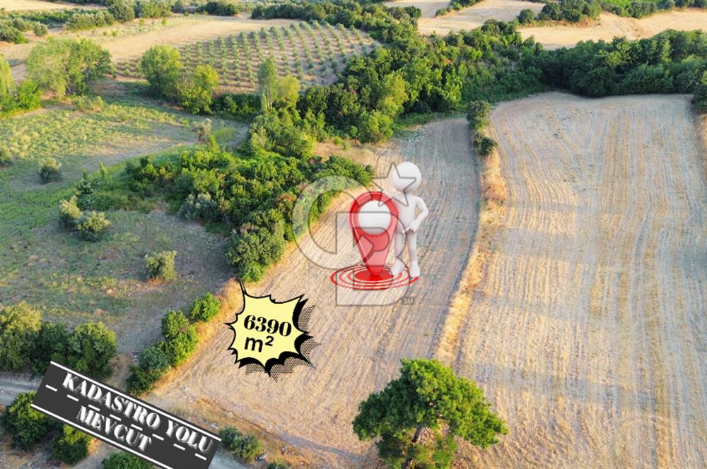 LAPSEKİ GÖKKÖY'DE KADASTRO YOLU OLAN