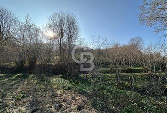 Sakarya Akyazı Küçücek Bıçkıdere de 2270m2 Fırsat Tarla