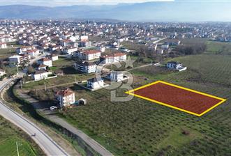 Hendek Kemaliye 'de 3 Kat İmarlı Arsa