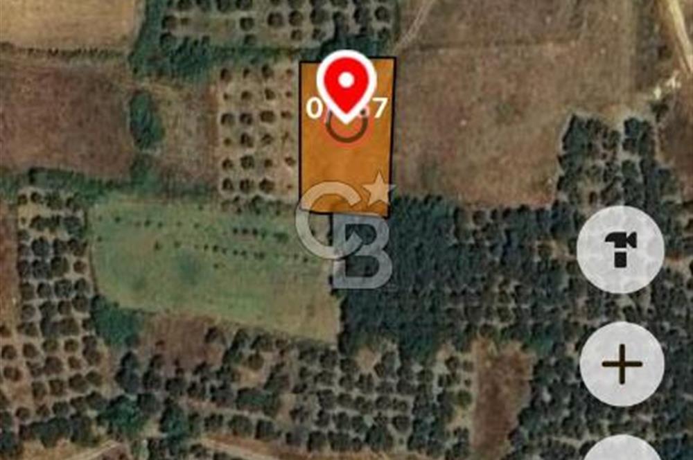 BALIKESİR ERDEK KARŞIYAKA MAHALLESİ DENİZE YAKIN SATILIK 970 M2 TARLA