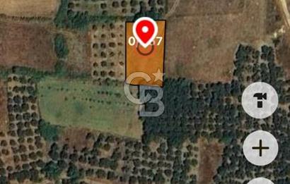 BALIKESİR ERDEK KARŞIYAKA MAHALLESİ DENİZE YAKIN SATILIK 970 M2 TARLA