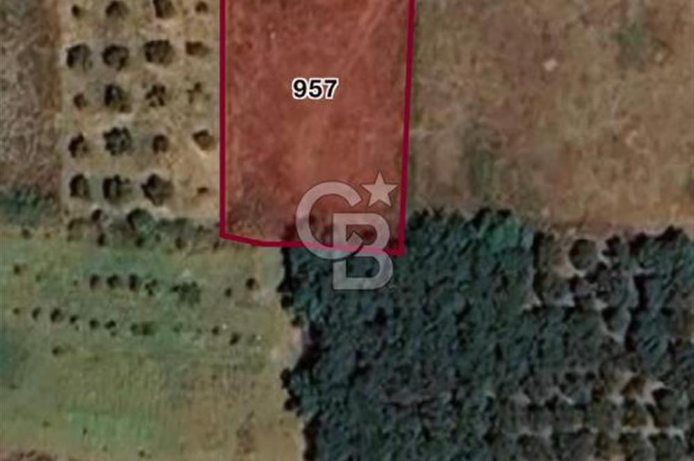 BALIKESİR ERDEK KARŞIYAKA MAHALLESİ DENİZE YAKIN SATILIK 970 M2 TARLA
