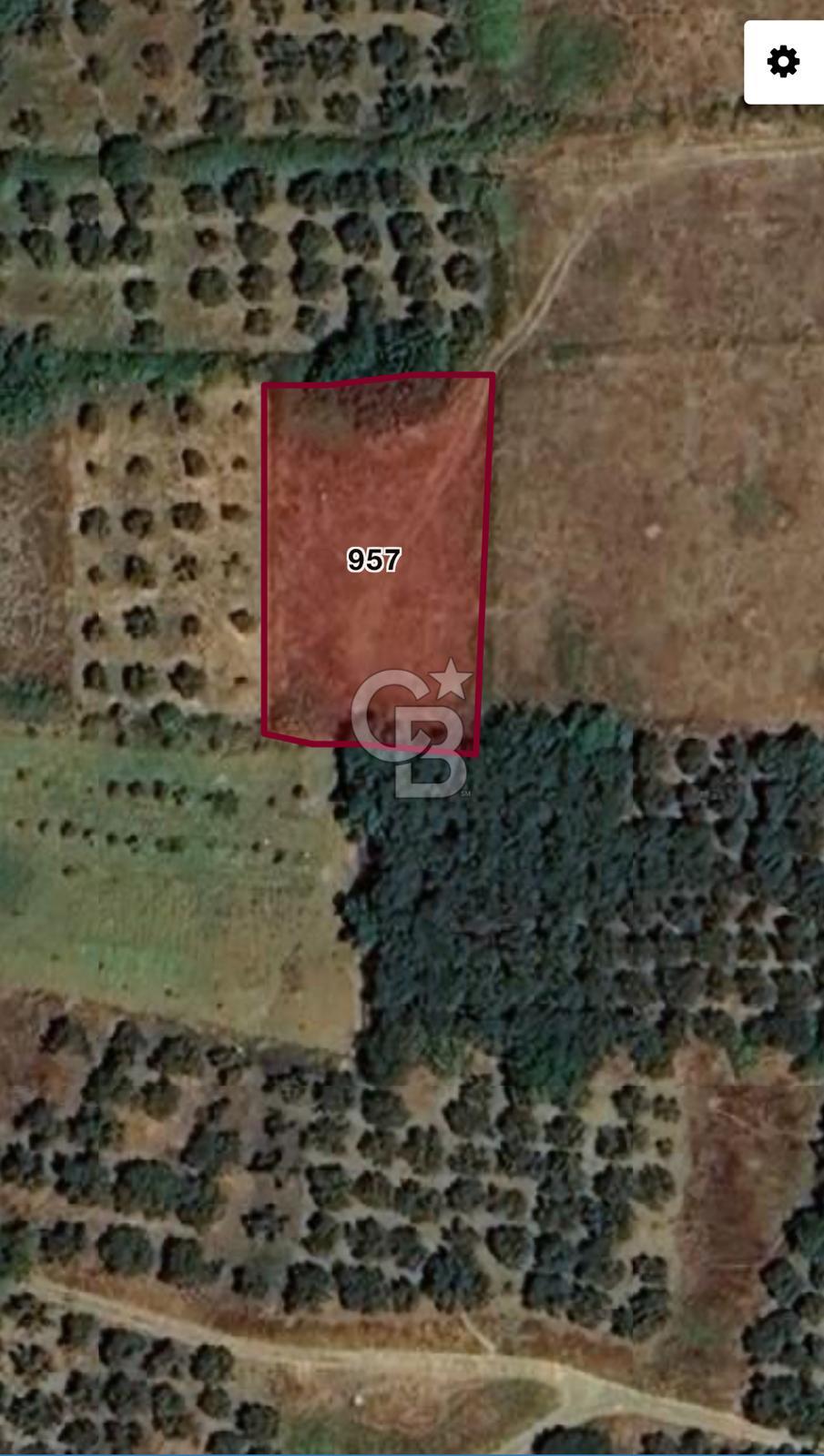 BALIKESİR ERDEK KARŞIYAKA MAHALLESİ DENİZE YAKIN SATILIK 970 M2 TARLA