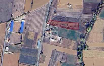 Edirne Keşan Şükrüköy'de 3407 m2 Bostanlık