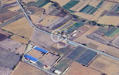 Edirne Keşan Şükrüköy'de 3407 m2 Bostanlık