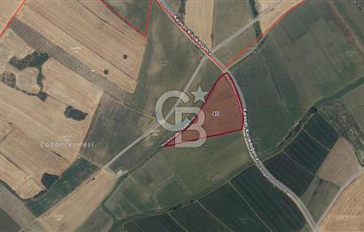 Edirne Keşan Küçükdoğanca'da 14750 m2 Tarla