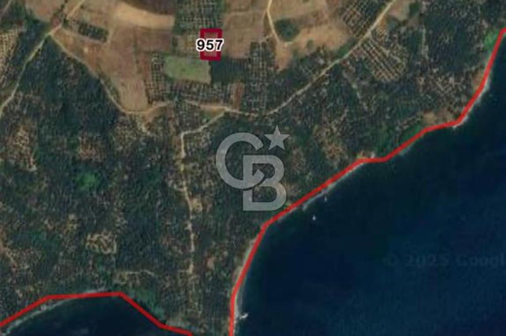 BALIKESİR ERDEK KARŞIYAKA MAHALLESİ DENİZE YAKIN SATILIK 970 M2 TARLA