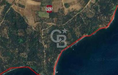 BALIKESİR ERDEK KARŞIYAKA MAHALLESİ DENİZE YAKIN SATILIK 970 M2 TARLA