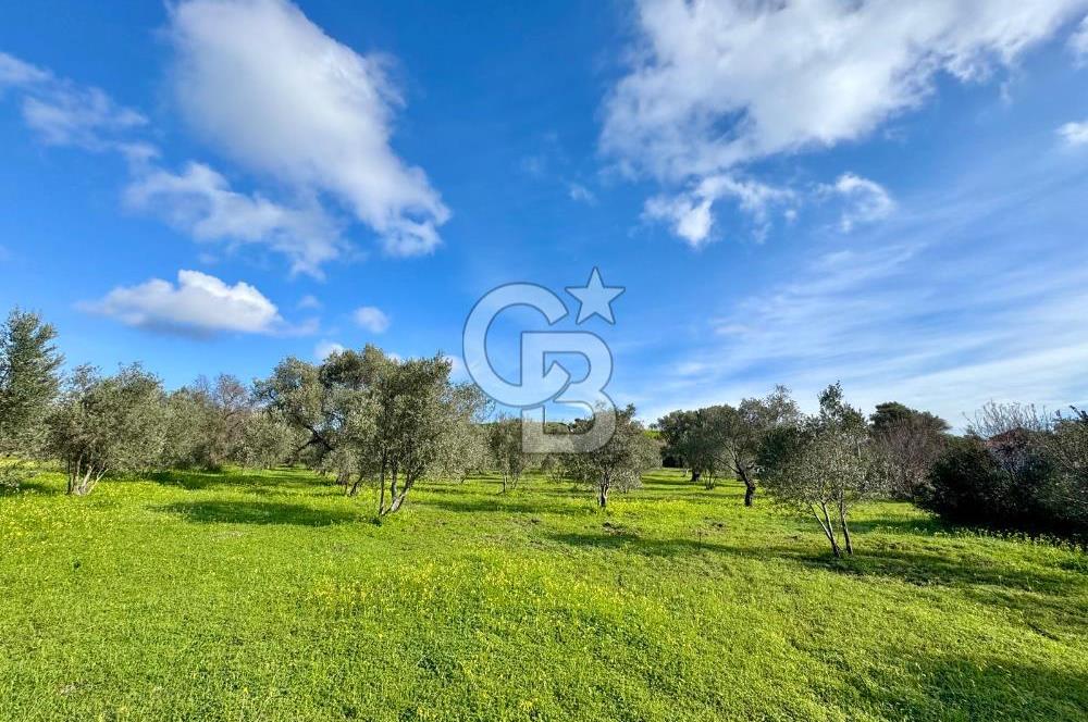 Datça’da Kızlan’da Satılık Yolu olan Bağ Evi İmarlı 5.462 m² Arazi