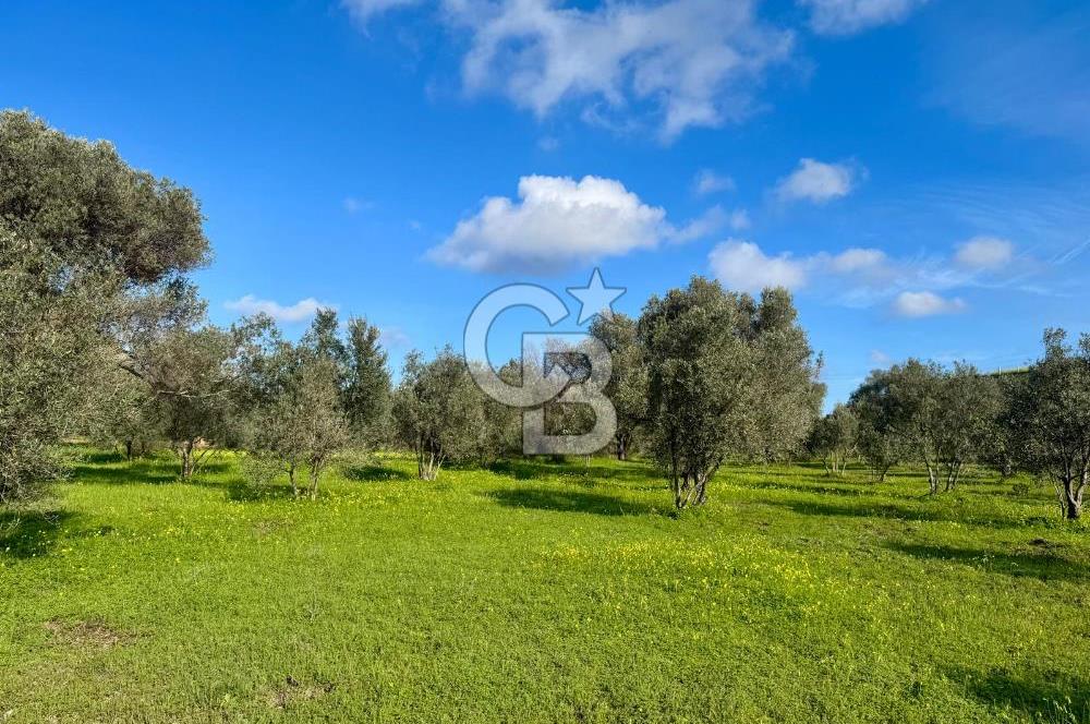 Datça’da Kızlan’da Satılık Yolu olan Bağ Evi İmarlı 5.462 m² Arazi