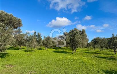 Datça’da Kızlan’da Satılık Yolu olan Bağ Evi İmarlı 5.462 m² Arazi