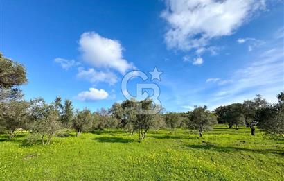 Datça’da Kızlan’da Satılık Yolu olan Bağ Evi İmarlı 5.462 m² Arazi