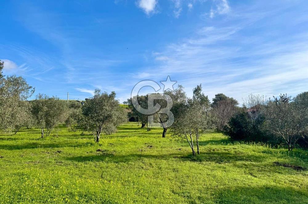 Datça’da Kızlan’da Satılık Yolu olan Bağ Evi İmarlı 5.462 m² Arazi