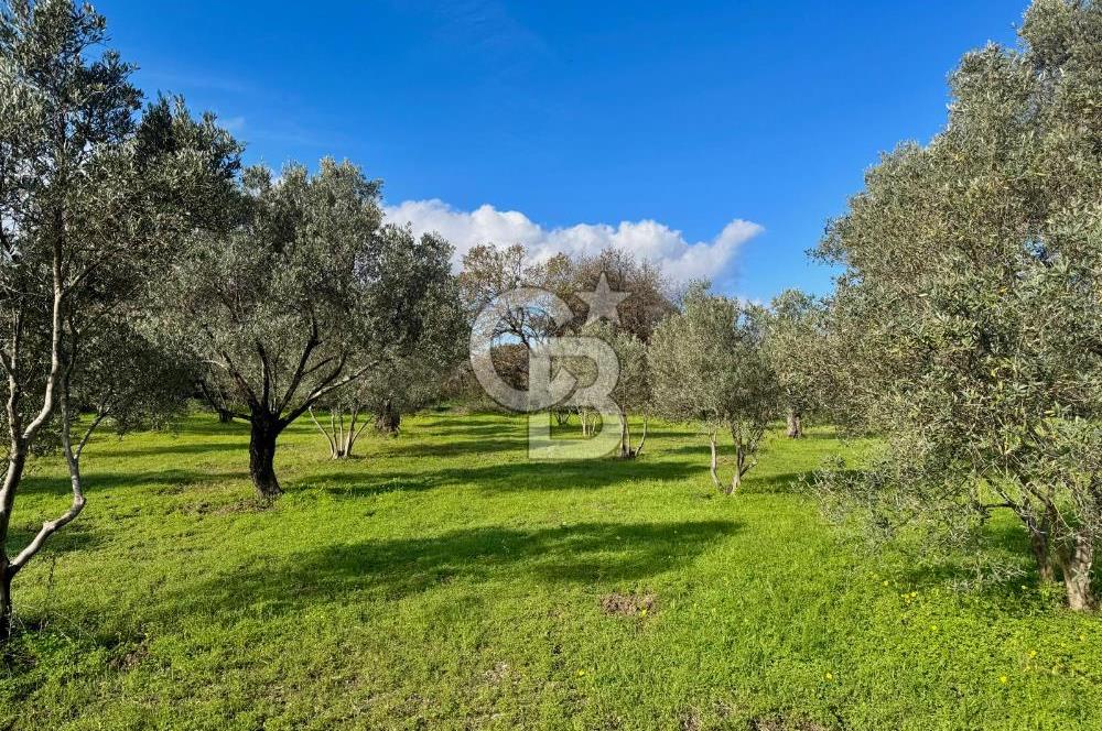 Datça’da Kızlan’da Satılık Yolu olan Bağ Evi İmarlı 5.462 m² Arazi