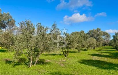 Datça’da Kızlan’da Satılık Yolu olan Bağ Evi İmarlı 5.462 m² Arazi