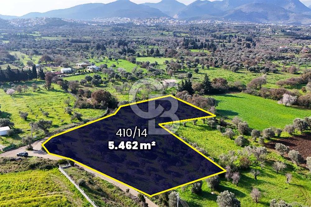 Datça’da Kızlan’da Satılık Yolu olan Bağ Evi İmarlı 5.462 m² Arazi
