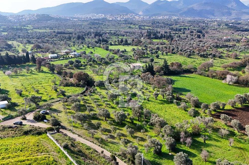 Datça’da Kızlan’da Satılık Yolu olan Bağ Evi İmarlı 5.462 m² Arazi