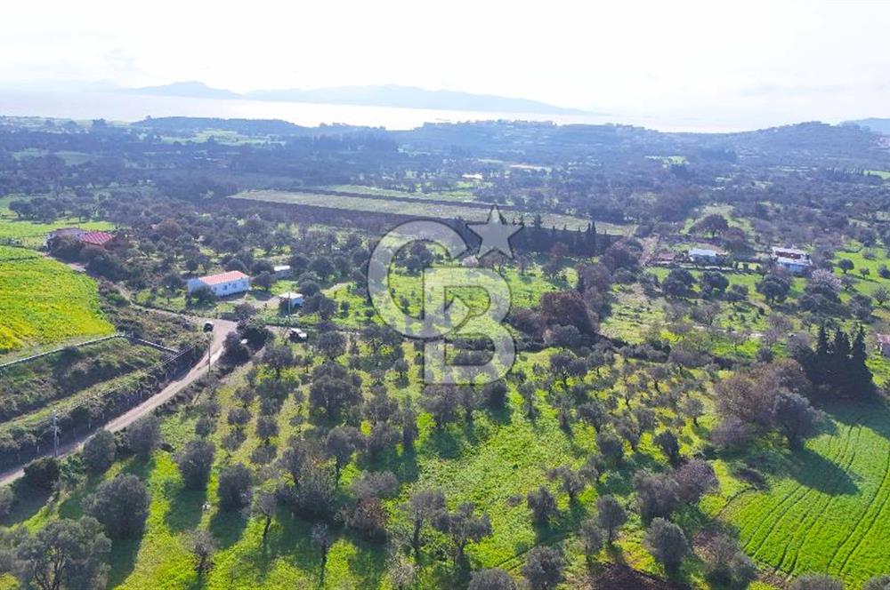 Datça’da Kızlan’da Satılık Yolu olan Bağ Evi İmarlı 5.462 m² Arazi