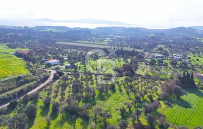 Datça’da Kızlan’da Satılık Yolu olan Bağ Evi İmarlı 5.462 m² Arazi